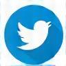X (Twitter) icon